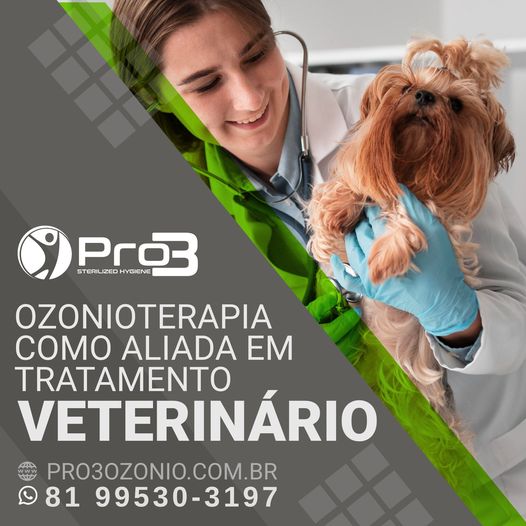 Othuki Agênci Digital